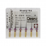 Protaper Universal Shaping File 21mm #S1(보라)