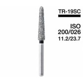 Diamond point FG (SC Series) (Super Coarse)