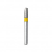 Diamond point FG (SS Series)