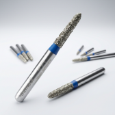 Diamond point FG (SS Series)
