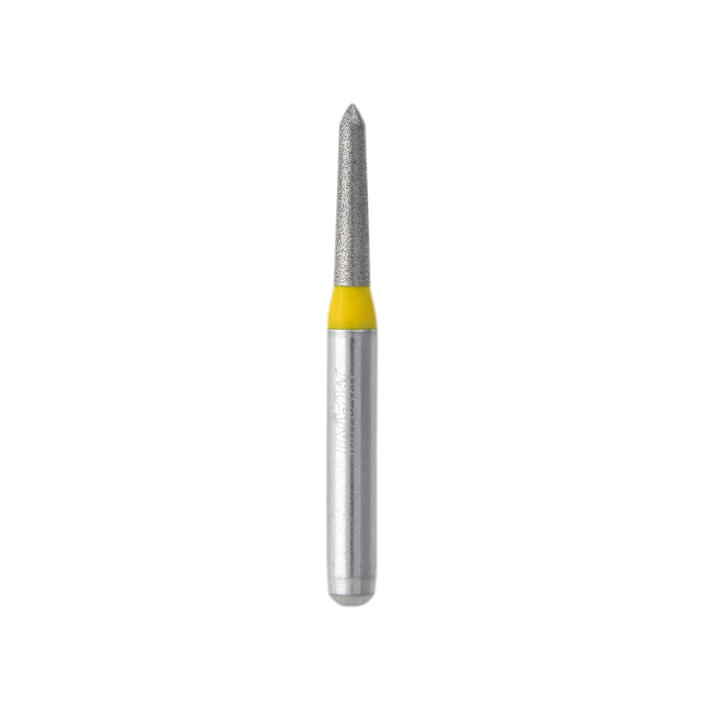 Diamond point FG (SS Series)