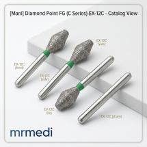 Diamond point FG (C Series)