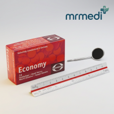 Economy Mirror Head SS Type