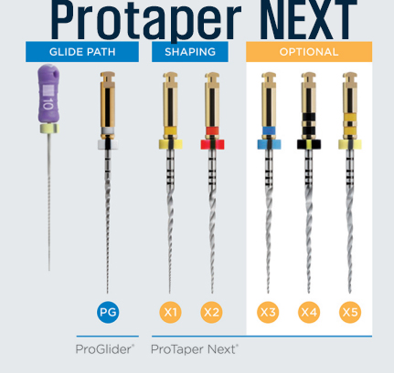 Protaper NEXT X1 04T/25mm/017(BSTPTNM325017)