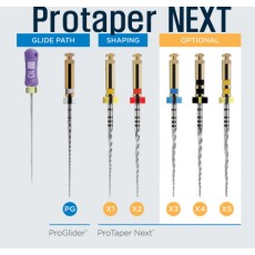 Protaper NEXT X2 06T/31mm/025(BSTPTNM331025)