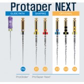 Protaper NEXT X4 06T/25mm/040(BSTPTNM325040)