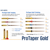 ProTaper Gold Finishing File 31mm(골드) #F2(빨강)
