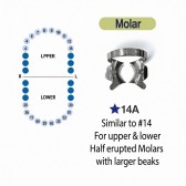 K-Clamp Refill