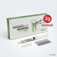 ENDOSEAL MTA (메탈팁) 2g 소용량
